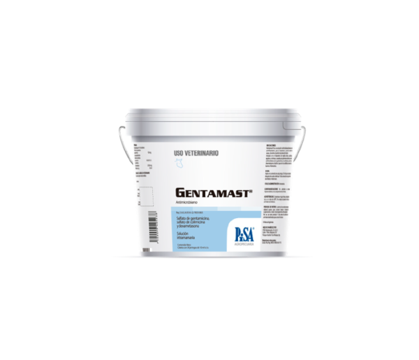 GENTAMAST JERINGA 10ML PISA